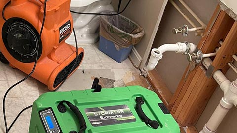 Mold Cleanup and Remediation in the Bathroom