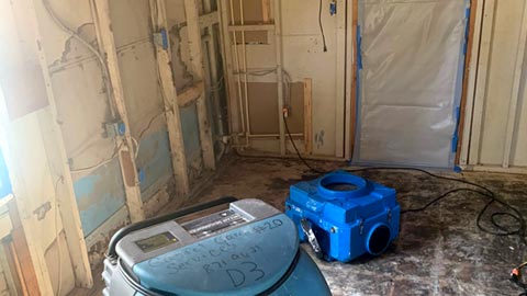 Mold Removal and Remediation