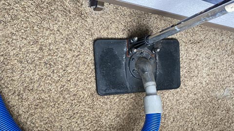 Water Extraction from Carpet
